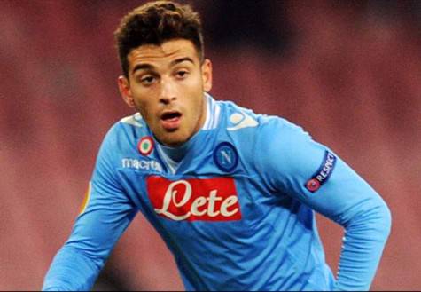 insigne