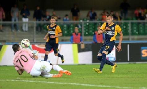 Hellas Verona FC v US Citta di Palermo - Serie A