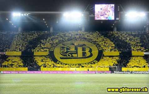 young-boys_tifo