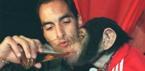 edmundo-scimpanzè