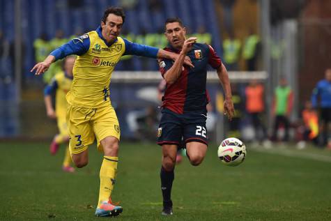 GENOA, ITALY - MARCH 15: Marco Borriello (R) of Genoa CFC is challenged by Dario Dainelli of AC Chievo Verona during the Serie A match between Genoa CFC and AC Chievo Verona at Stadio Luigi Ferraris on March 15, 2015 in Genoa, Italy. (Photo by Valerio Pennicino/Getty Images)