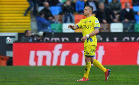 Giaccherini sul Napoli