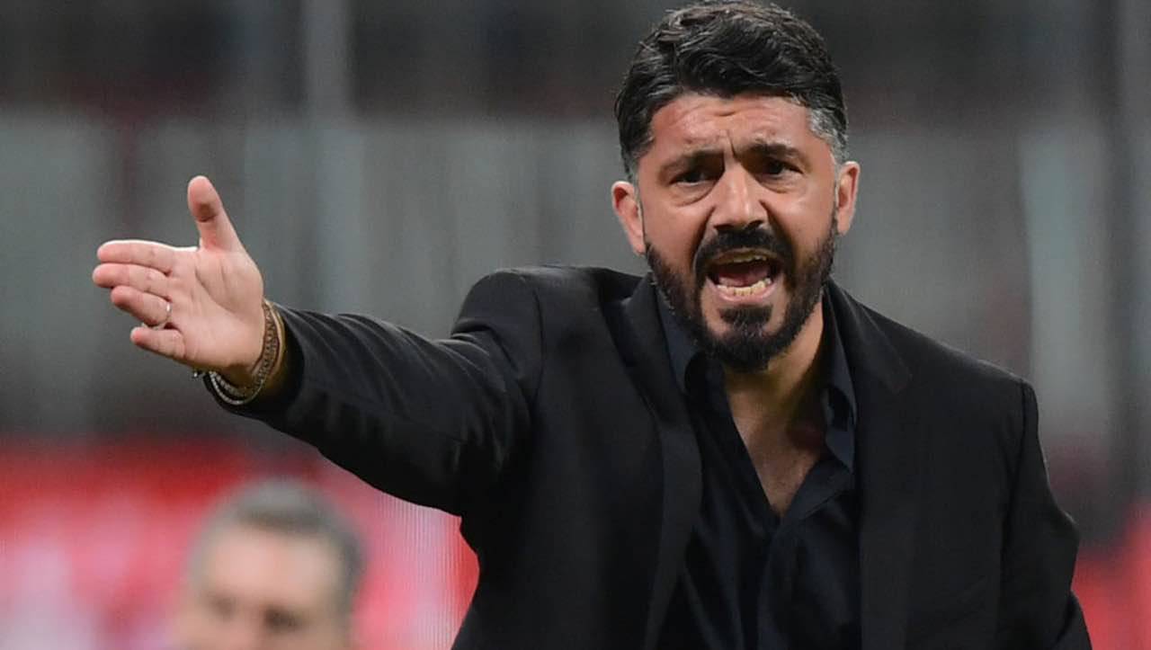 gattuso allenatore napoli