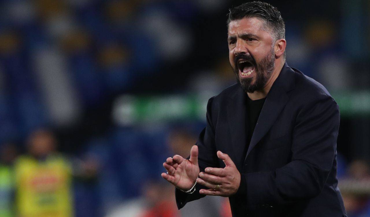 Gattuso rinnovo