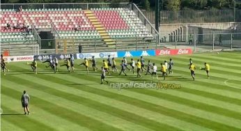 Osimhen, Allan e gli altri: cos’ha detto il triangolare