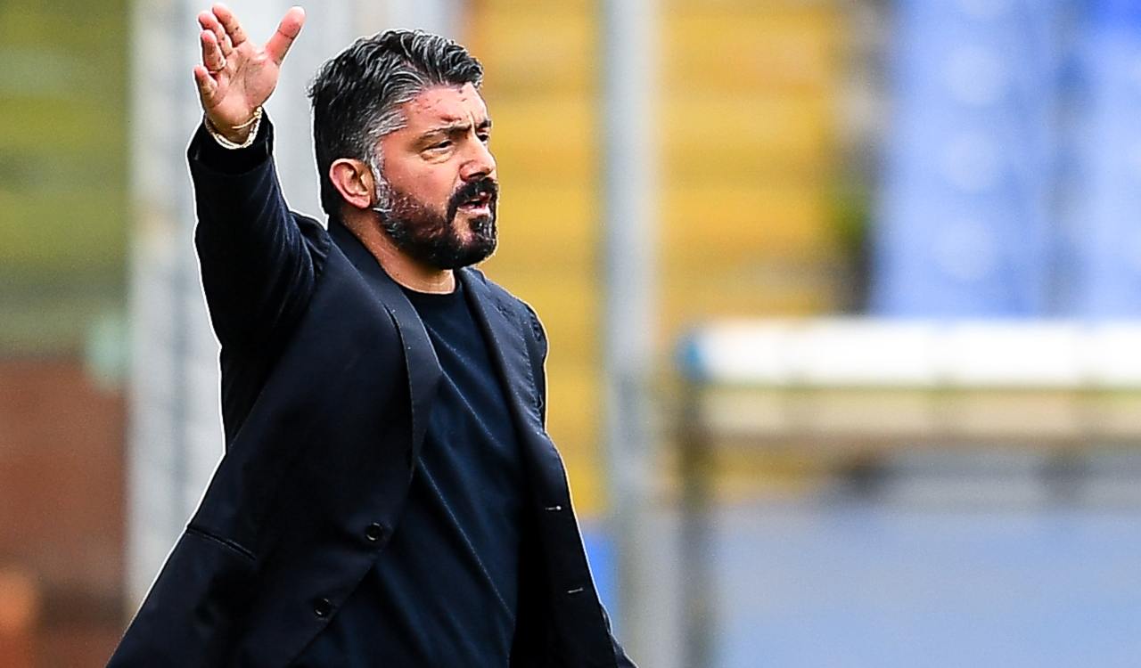 Gattuso Napoli