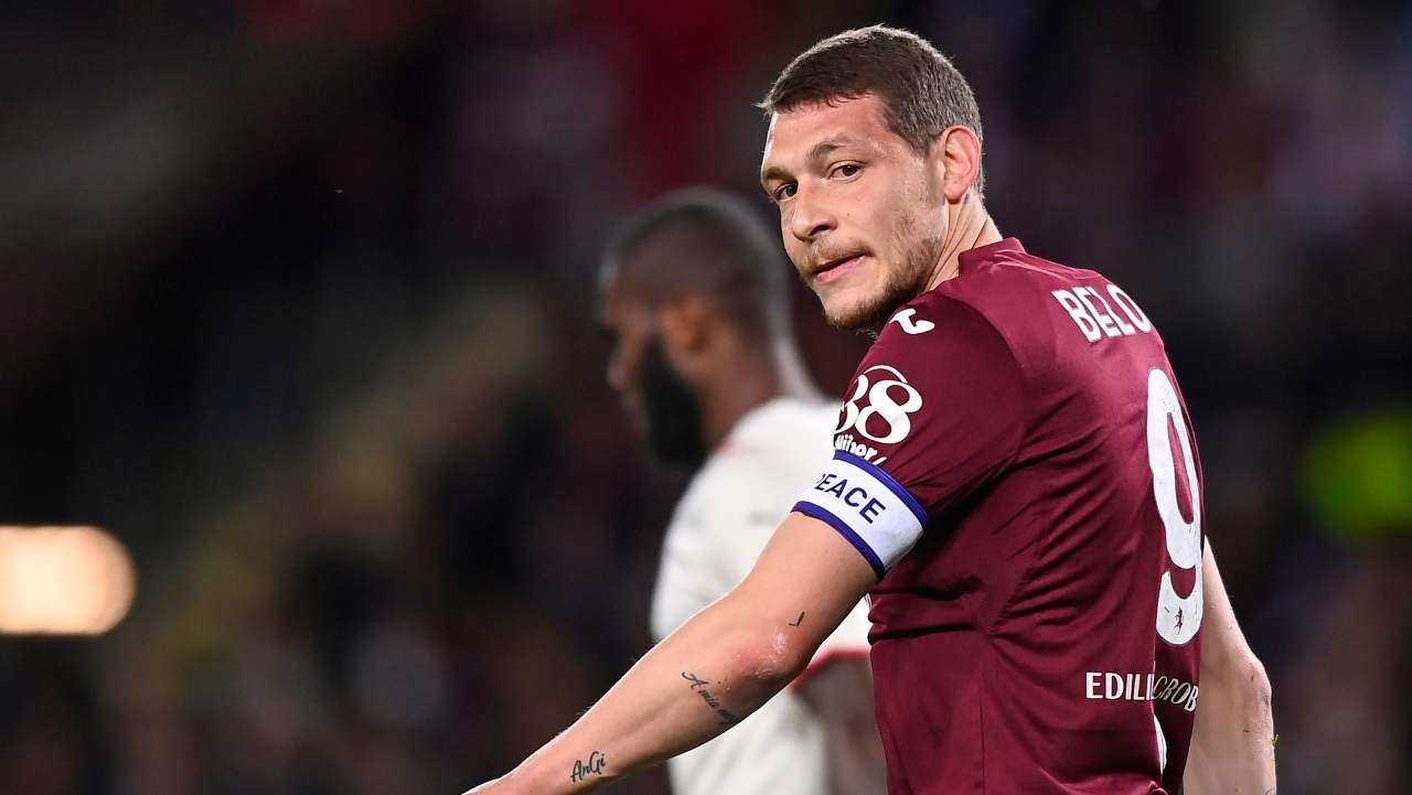 Belotti