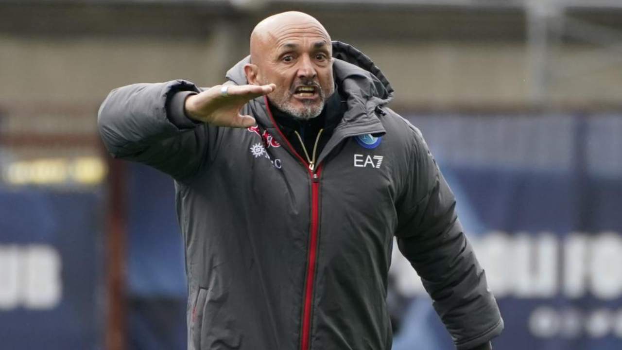 Luciano Spalletti urla