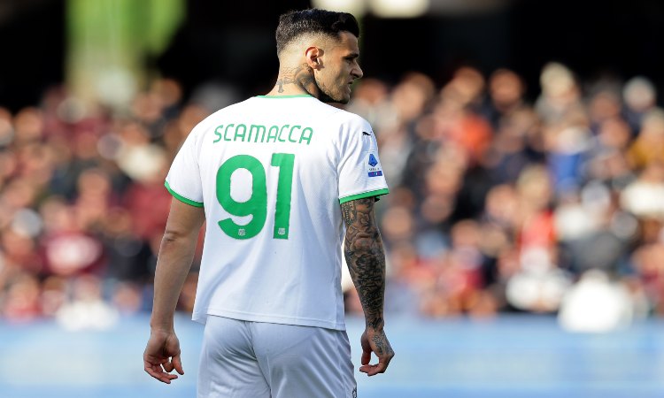 Gianluca Scamacca Sassuolo