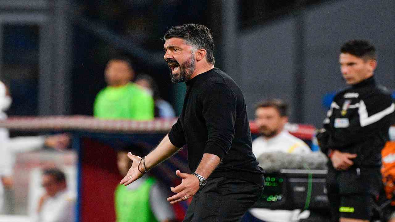 Gattuso Napoli