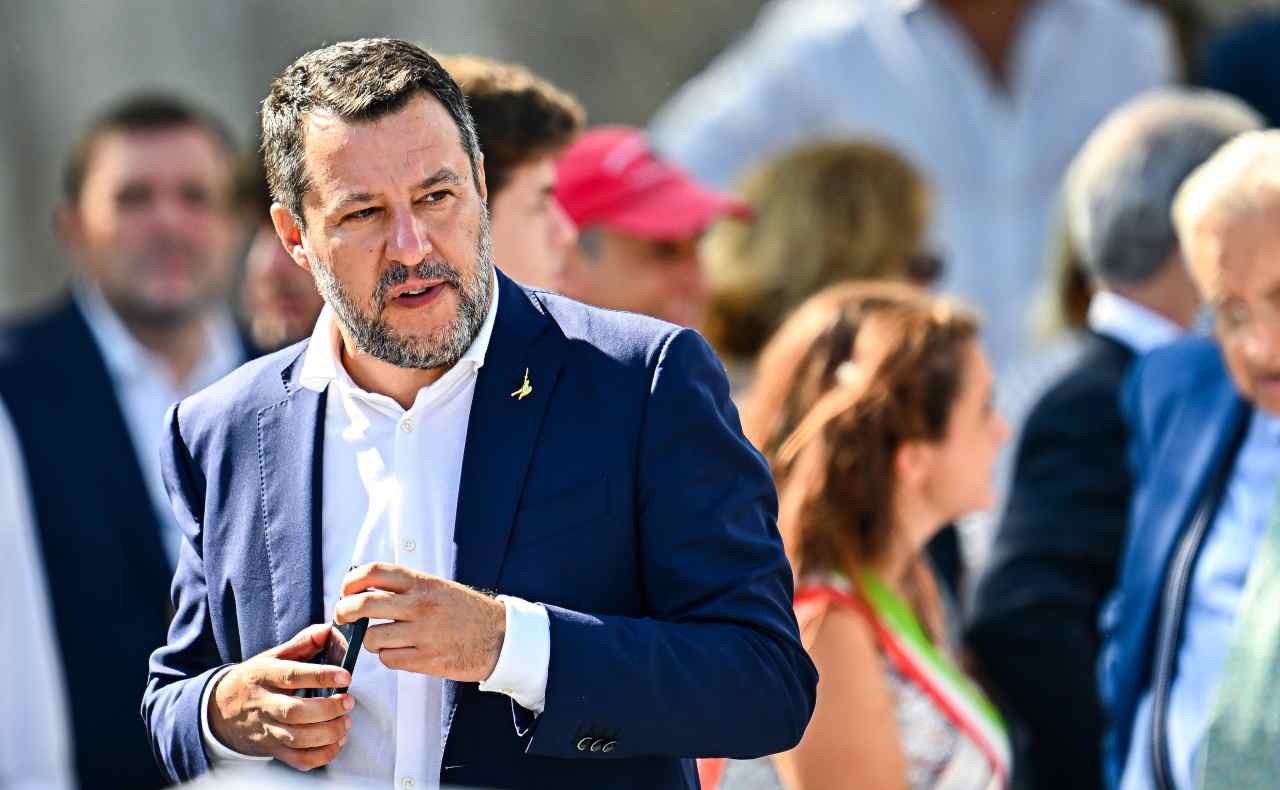 Salvini pensieroso 