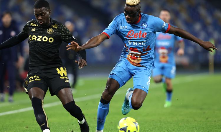 Napoli Lille - napolicalciolive.com