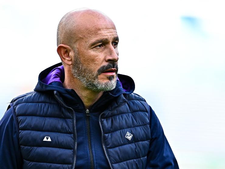 Vincenzo Italiano, allenatore della Fiorentina - Napolicalciolive.com