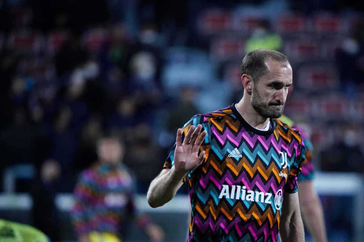 Giorgio Chiellini - napolicalciolive.com