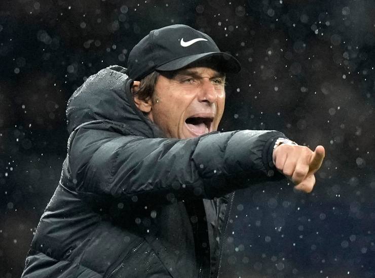 Conte