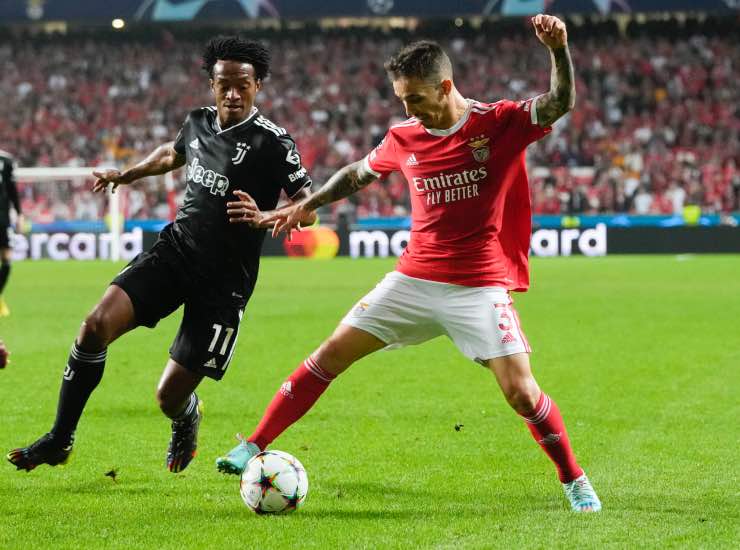 Grimaldo Benfica